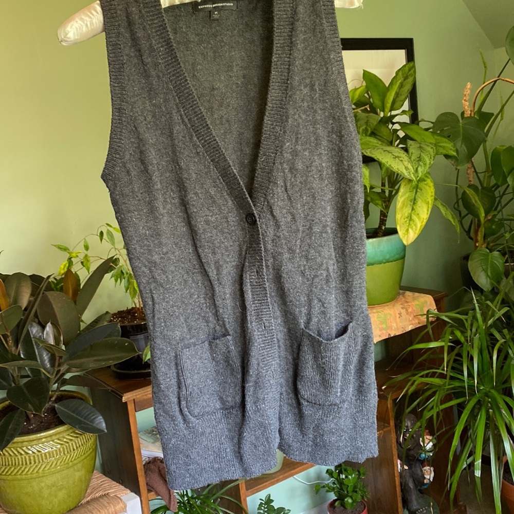 Sweater vest, grey from express, size medium